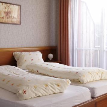 Hotel Zum Roten Loewen Hildisrieden Номер фото
